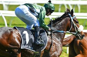 Australian Cup Barrier Draw & Final Field