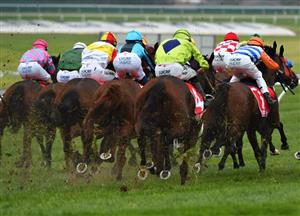 Blackbook.com.au Bet of the Day & Multibet Tips