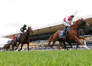 Coolmore Classic Final Field