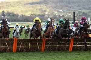 2022 County Hurdle Tips - Side with novices in Gold Cup day handicap