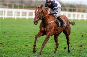 2022 Coral Cup Odds - Good Risk At All heads Festival handicap betting