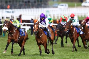 2022 Pertemps Final Handicap Hurdle Odds - Winter Fog new Festival favourite