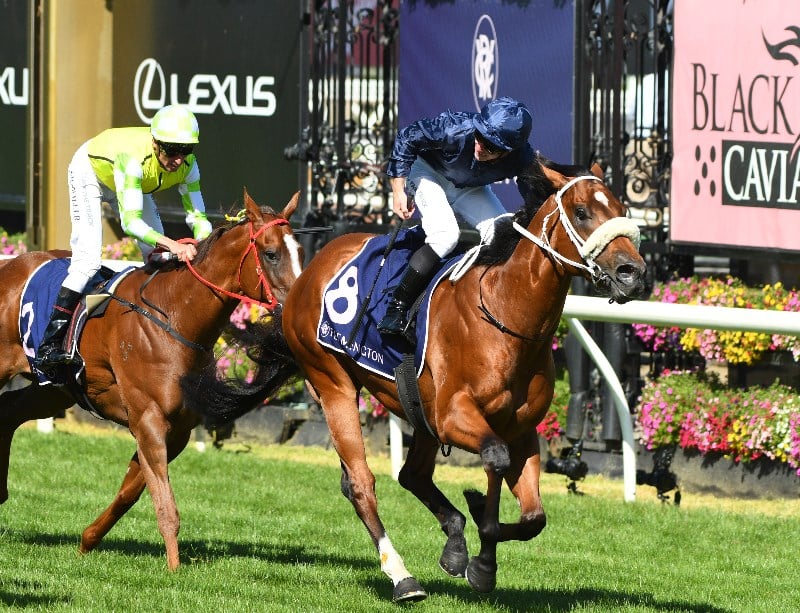 BlueBet Special - March 12