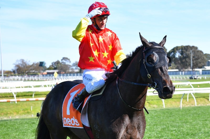 Newmarket Handicap Betting Tips