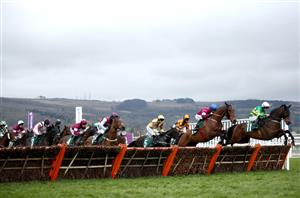 2022 Martin Pipe Tips - Two Irish novices to back in Festival's final race