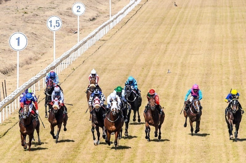 vaal horse racing betting odds