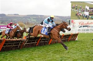 County Hurdle Handicap Hurdle Live Stream - Watch this handicap live from Cheltenham