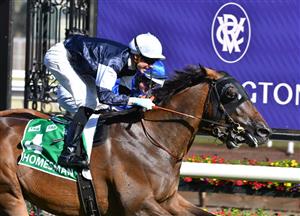 homesman australian cup