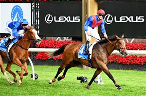All-Star Mile Odds