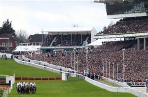 Cheltenham Day 1 Tips - Every race covered on Champions' Day