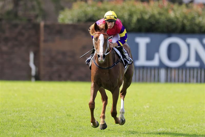 SYDNEY, AUSTRALIA - MARCH 12: William Pike on Mr Mozart returns to scale after winning race 6 the Chandon Phar Lap Stakes during Sydney Racing Chandon Ladies Day at Rosehill Gardens on March 12, 2022 in Sydney, Australia. (Photo by Mark Evans/Getty Images)