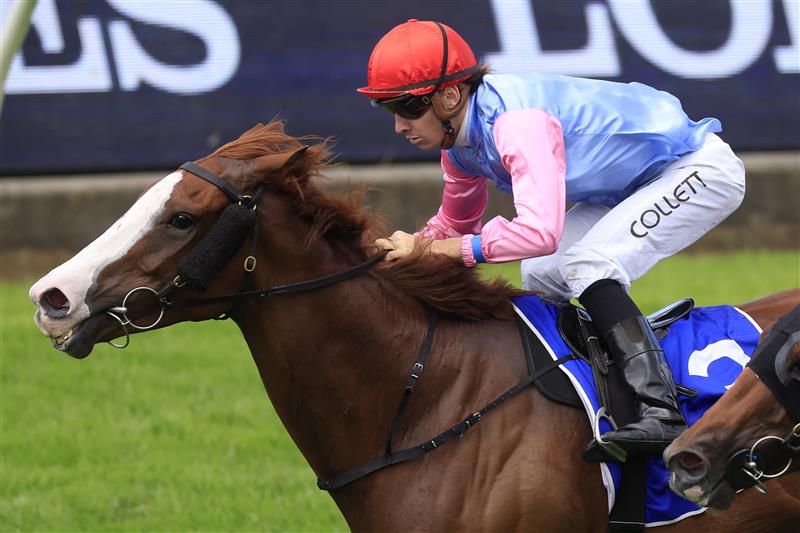 SYDNEY, AUSTRALIA - MARCH 12: Jason Collett on Just Folk wins race 4 the Hyland Race Colours Ajax Stakes during Sydney Racing Chandon Ladies Day at Rosehill Gardens on March 12, 2022 in Sydney, Australia. (Photo by Mark Evans/Getty Images)