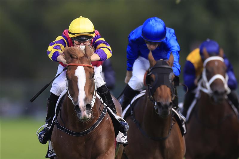 SYDNEY, AUSTRALIA - MARCH 12: William Pike on Mr Mozart wins race 6 the Chandon Phar Lap Stakes during Sydney Racing Chandon Ladies Day at Rosehill Gardens on March 12, 2022 in Sydney, Australia. (Photo by Mark Evans/Getty Images)