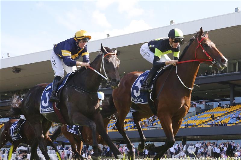 SYDNEY, AUSTRALIA - MARCH 12: Sam Clipperton on Stockman wins race 7 the Furphy Sky High Stakes during Sydney Racing Chandon Ladies Day at Rosehill Gardens on March 12, 2022 in Sydney, Australia. (Photo by Mark Evans/Getty Images)