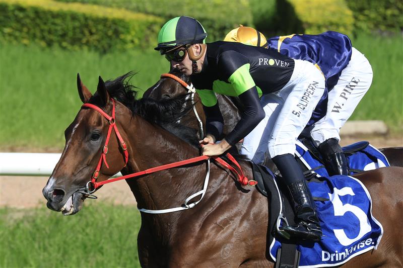 SYDNEY, AUSTRALIA - MARCH 12: Sam Clipperton on Stockman wins race 7 the Furphy Sky High Stakes during Sydney Racing Chandon Ladies Day at Rosehill Gardens on March 12, 2022 in Sydney, Australia. (Photo by Mark Evans/Getty Images)