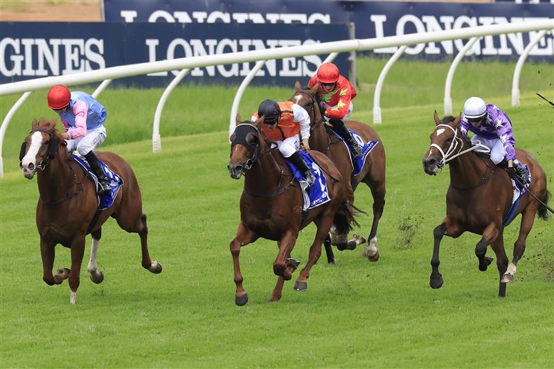 SYDNEY, AUSTRALIA - MARCH 12: Jason Collett on Just Folk wins race 4 the Hyland Race Colours Ajax Stakes during Sydney Racing Chandon Ladies Day at Rosehill Gardens on March 12, 2022 in Sydney, Australia. (Photo by Mark Evans/Getty Images)