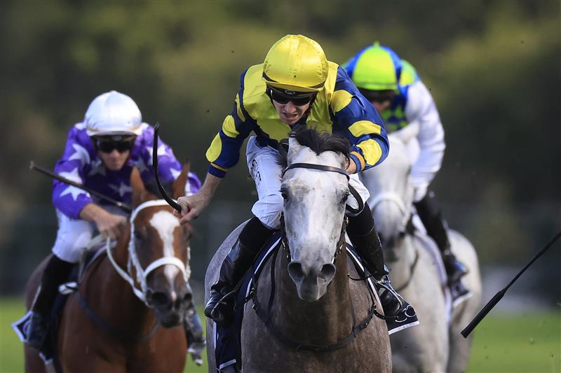 SYDNEY, AUSTRALIA - MARCH 12: Jason Collett on Lighthouse wins race 8 the Coolmore Classic during Sydney Racing Chandon Ladies Day at Rosehill Gardens on March 12, 2022 in Sydney, Australia. (Photo by Mark Evans/Getty Images)