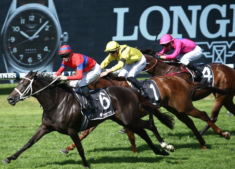 Ranvet Stakes Betting Odds