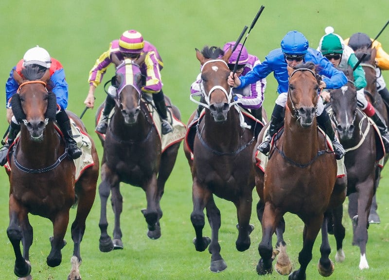 Rosehill Guineas Betting Odds