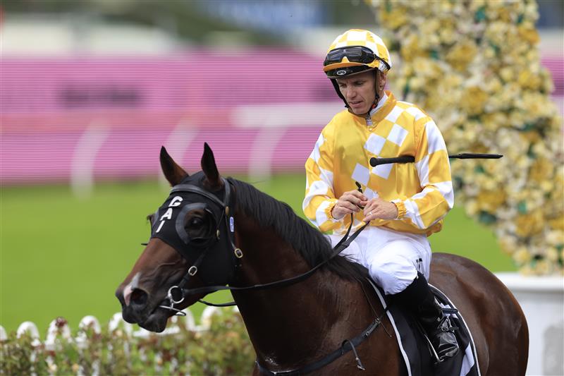 SYDNEY, AUSTRALIA - MARCH 12: Tim Clark on Rise Of The Masses returns to scale after winning race 3 the Bowermans Pago Pago Stakes during Sydney Racing Chandon Ladies Day at Rosehill Gardens on March 12, 2022 in Sydney, Australia. (Photo by Mark Evans/Getty Images)