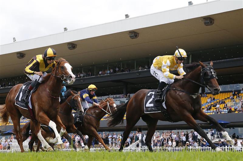 SYDNEY, AUSTRALIA - MARCH 12: Tim Clark on Rise Of The Masses wins race 3 the Bowermans Pago Pago Stakes during Sydney Racing Chandon Ladies Day at Rosehill Gardens on March 12, 2022 in Sydney, Australia. (Photo by Mark Evans/Getty Images)