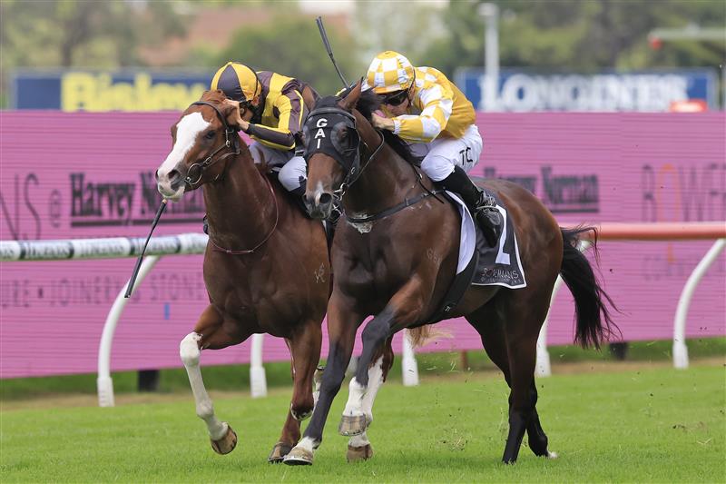 SYDNEY, AUSTRALIA - MARCH 12: Tim Clark on Rise Of The Masses wins race 3 the Bowermans Pago Pago Stakes during Sydney Racing Chandon Ladies Day at Rosehill Gardens on March 12, 2022 in Sydney, Australia. (Photo by Mark Evans/Getty Images)
