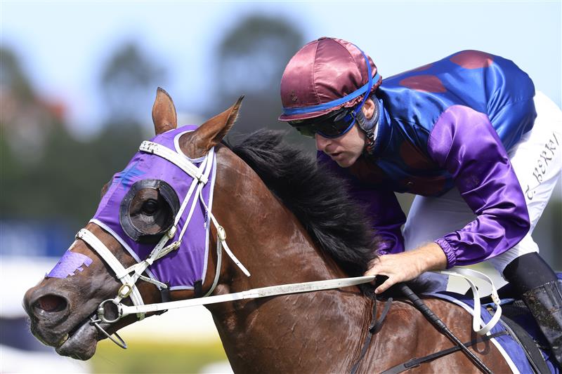 SYDNEY, AUSTRALIA - MARCH 12: Tommy Berry on Shelby Sixtysix wins race 5 the City Tattersalls Group Maurice McCarten Stakes during Sydney Racing Chandon Ladies Day at Rosehill Gardens on March 12, 2022 in Sydney, Australia. (Photo by Mark Evans/Getty Images)