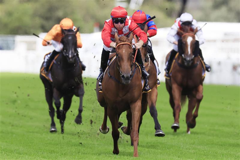 SYDNEY, AUSTRALIA - MARCH 12: Tommy Berry on She's Extreme wins Race 2 the Cellarbrations Magic Night Stakes during Sydney Racing Chandon Ladies Day at Rosehill Gardens on March 12, 2022 in Sydney, Australia. (Photo by Mark Evans/Getty Images)