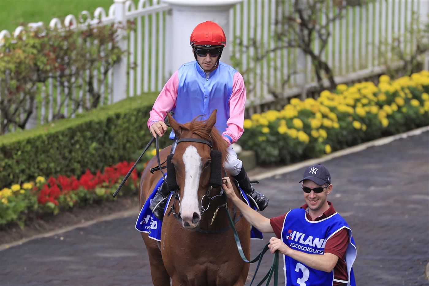 SYDNEY, AUSTRALIA - MARCH 12: Jason Collett on Just Folk returns to scale after winning race 4 the Hyland Race Colours Ajax Stakes during Sydney Racing Chandon Ladies Day at Rosehill Gardens on March 12, 2022 in Sydney, Australia. (Photo by Mark Evans/Getty Images)