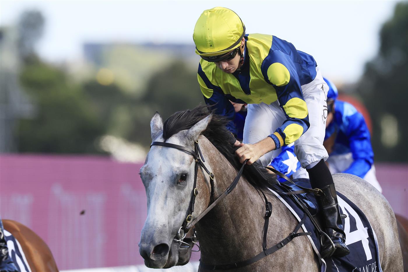 SYDNEY, AUSTRALIA - MARCH 12: Jason Collett on Lighthouse wins race 8 the Coolmore Classic during Sydney Racing Chandon Ladies Day at Rosehill Gardens on March 12, 2022 in Sydney, Australia. (Photo by Mark Evans/Getty Images)