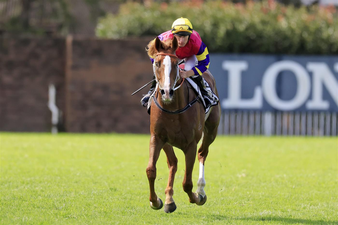 SYDNEY, AUSTRALIA - MARCH 12: William Pike on Mr Mozart returns to scale after winning race 6 the Chandon Phar Lap Stakes during Sydney Racing Chandon Ladies Day at Rosehill Gardens on March 12, 2022 in Sydney, Australia. (Photo by Mark Evans/Getty Images)