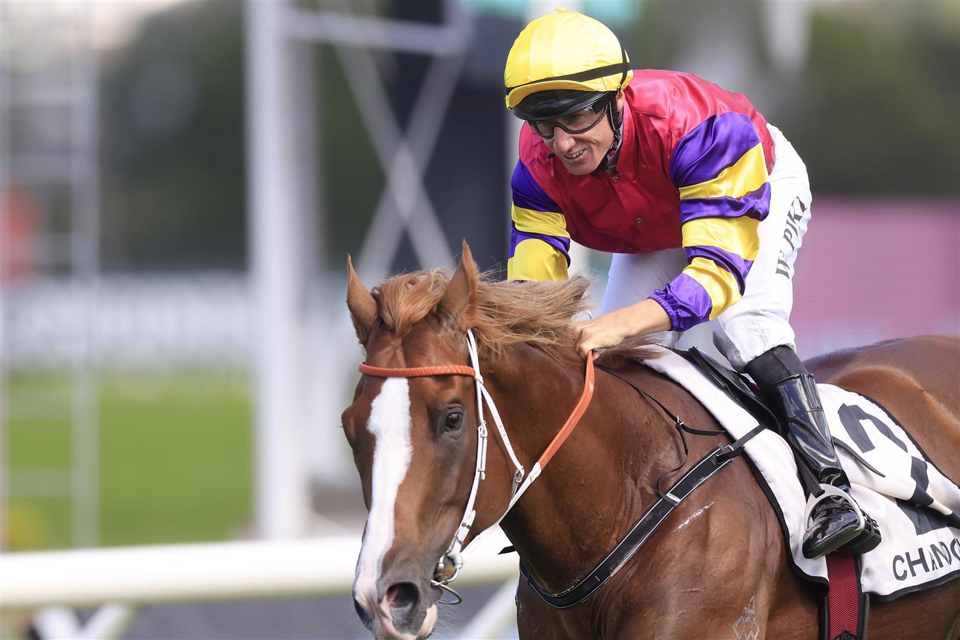 SYDNEY, AUSTRALIA - MARCH 12: William Pike on Mr Mozart wins race 6 the Chandon Phar Lap Stakes during Sydney Racing Chandon Ladies Day at Rosehill Gardens on March 12, 2022 in Sydney, Australia. (Photo by Mark Evans/Getty Images)