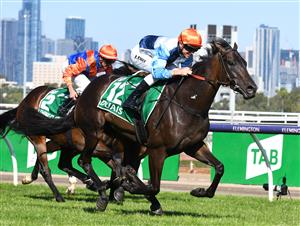 MELBOURNE, AUSTRALIA - MARCH 12: Josh Parr riding Duais winning Race 7, the Tab Australian Cup, during Melbourne Racing at Flemington Racecourse on March 12, 2022 in Melbourne, Australia. (Photo by Vince Caligiuri/Getty Images)