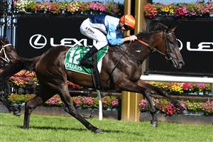 MELBOURNE, AUSTRALIA - MARCH 12: Josh Parr riding Duais winning Race 7, the Tab Australian Cup, during Melbourne Racing at Flemington Racecourse on March 12, 2022 in Melbourne, Australia. (Photo by Vince Caligiuri/Getty Images)