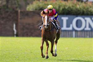 SYDNEY, AUSTRALIA - MARCH 12: William Pike on Mr Mozart returns to scale after winning race 6 the Chandon Phar Lap Stakes during Sydney Racing Chandon Ladies Day at Rosehill Gardens on March 12, 2022 in Sydney, Australia. (Photo by Mark Evans/Getty Images)