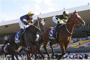 SYDNEY, AUSTRALIA - MARCH 12: Sam Clipperton on Stockman wins race 7 the Furphy Sky High Stakes during Sydney Racing Chandon Ladies Day at Rosehill Gardens on March 12, 2022 in Sydney, Australia. (Photo by Mark Evans/Getty Images)