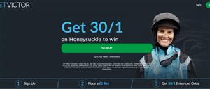 Honeysuckle Price Boosts - Get 30/1 and 40/1 on the Champion Hurdle favourite