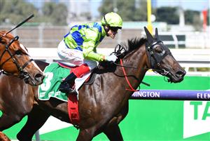 MELBOURNE, AUSTRALIA - MARCH 12: Craig Williams riding Barb Raider TAB Kewney Stakes, during Melbourne Racing at Flemington Racecourse on March 12, 2022 in Melbourne, Australia. (Photo by Vince Caligiuri/Getty Images)
