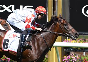 MELBOURNE, AUSTRALIA - MARCH 12: Damian Lane riding Let'srollthedice to win Race 4, MSS Security Sires' Produce Stakes, during Melbourne Racing at Flemington Racecourse on March 12, 2022 in Melbourne, Australia. (Getty)