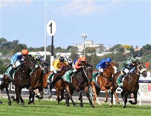 Flemington Highlights - March 12