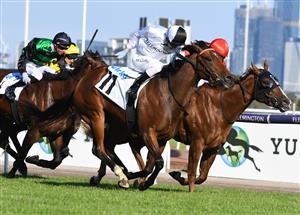 MELBOURNE, AUSTRALIA - MARCH 12: Harry Coffey riding Fortunate Kiss winning Race 9, the Cirka Plate, during Melbourne Racing at Flemington Racecourse on March 12, 2022 in Melbourne, Australia. (Photo by Vince Caligiuri/Getty Images)