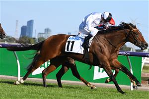 MELBOURNE, AUSTRALIA - MARCH 12: Harry Coffey riding Fortunate Kiss winning Race 9, the Cirka Plate, during Melbourne Racing at Flemington Racecourse on March 12, 2022 in Melbourne, Australia. (Photo by Vince Caligiuri/Getty Images)