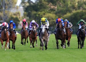 Rosehill Highlights