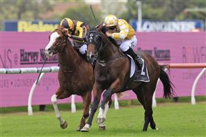 SYDNEY, AUSTRALIA - MARCH 12: Tim Clark on Rise Of The Masses wins race 3 the Bowermans Pago Pago Stakes during Sydney Racing Chandon Ladies Day at Rosehill Gardens on March 12, 2022 in Sydney, Australia. (Photo by Mark Evans/Getty Images)