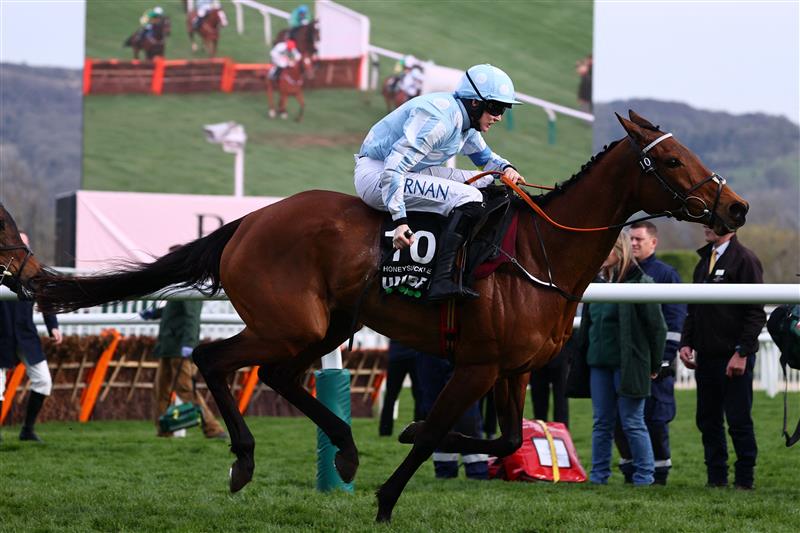 Jockey Rachael Blackmore rides Honeysuckle to victory in the Champion Hurdle on the first day of the Cheltenham Festival at Cheltenham Racecourse, in Cheltenham, England on March 15, 2022. (Photo by Adrian DENNIS / AFP) (Photo by ADRIAN DENNIS/AFP via Getty Images)
