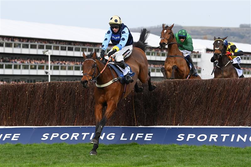 CHELTENHAM, ENGLAND - MARCH 15: Tom Cannon on Edwardstone (yellow cap, blue dots) clear the last hurdle to win theArkle Chase race during day one of the Cheltenham Festival 2022 at Cheltenham Racecourse on March 15, 2022 in Cheltenham, England. (Photo by Mike Hewitt/Getty Images)