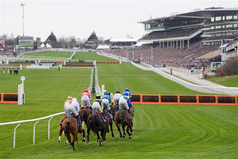 CHELTENHAM, ENGLAND - MARCH 15: A general view as runners and riders start in Sky Bet Supreme Novices' Hurdle during day one of the Cheltenham Festival 2022 at Cheltenham Racecourse on March 15, 2022 in Cheltenham, England. (Photo by Mike Hewitt/Getty Images)