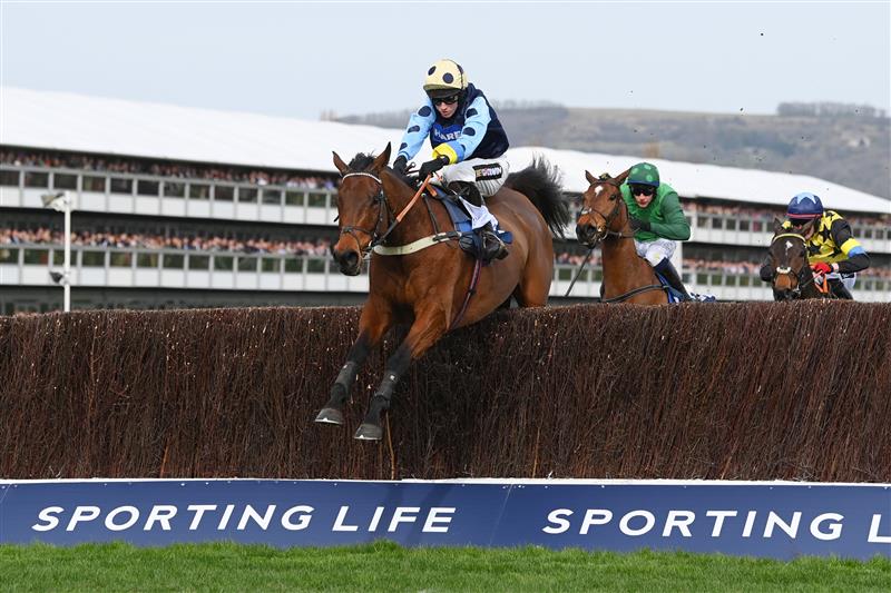 CHELTENHAM, ENGLAND - MARCH 15: Tom Cannon on Edwardstone (yellow cap, blue dots) clear the last hurdle to win the Arkle Chase race during day one of the Cheltenham Festival 2022 at Cheltenham Racecourse on March 15, 2022 in Cheltenham, England. (Photo by Mike Hewitt/Getty Images)