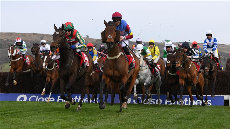 CHELTENHAM, ENGLAND - MARCH 15: Runners and riders jump the 3rd last during the Ultima Handicap Chase at Cheltenham Racecourse on March 15, 2022 in Cheltenham, England. (Photo by Mike Hewitt/Getty Images)