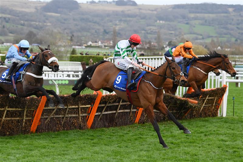 CHELTENHAM, ENGLAND - MARCH 15: Nico de Boinville on Marie's Rock (L, light blue kit) jumps the third last hurdle before winning The Mares’ Hurdle race before Jack Kennedy on Queens Brook (red cap) during day one of the Cheltenham Festival 2022 at Cheltenham Racecourse on March 15, 2022 in Cheltenham, England. (Photo by Mike Hewitt/Getty Images)